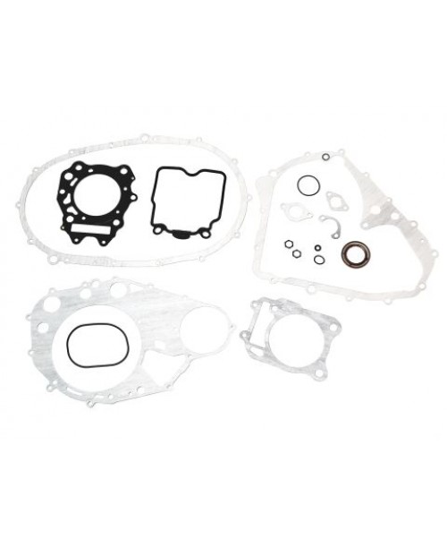 Комплект прокладок двигателя TGB BLADE 425 924930