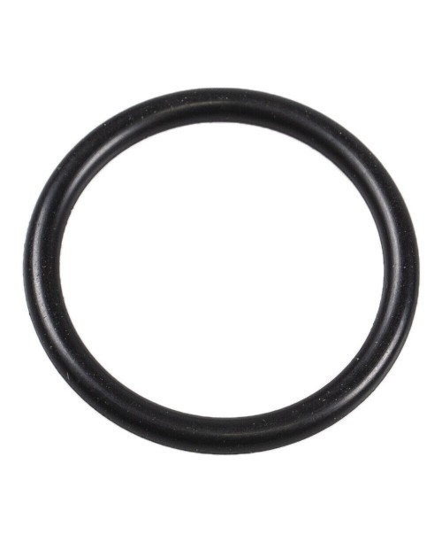 Сальник Can-Am 293300068