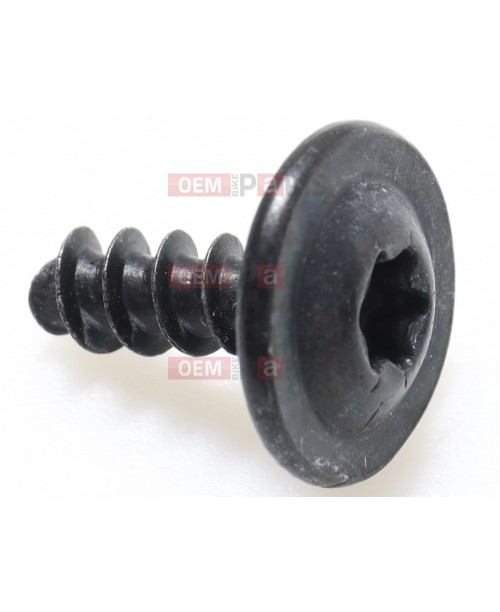 Шуруп TRIUMPH 4x11 T3331436