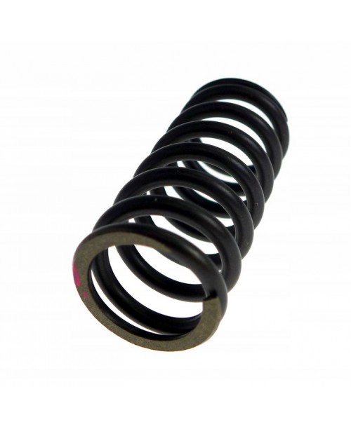 Пружина сцепления YAMAHA 1TD-16333-00-00