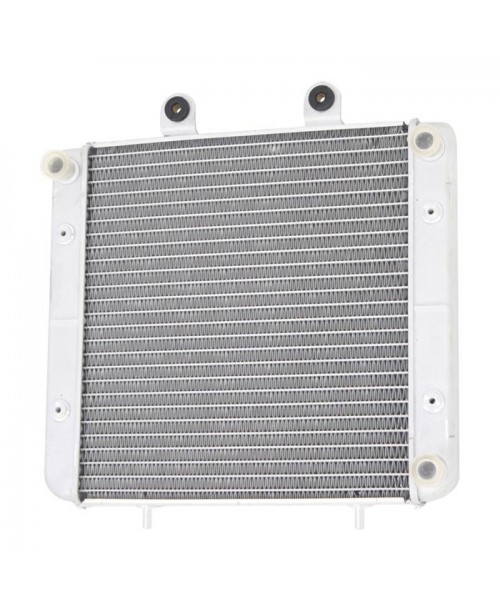 Радиатор POLARIS 1241477