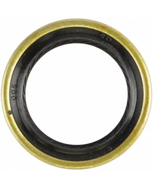 Сальник выходного вала HARLEY DAVIDSON FLHR 1750 Road King C9200F1