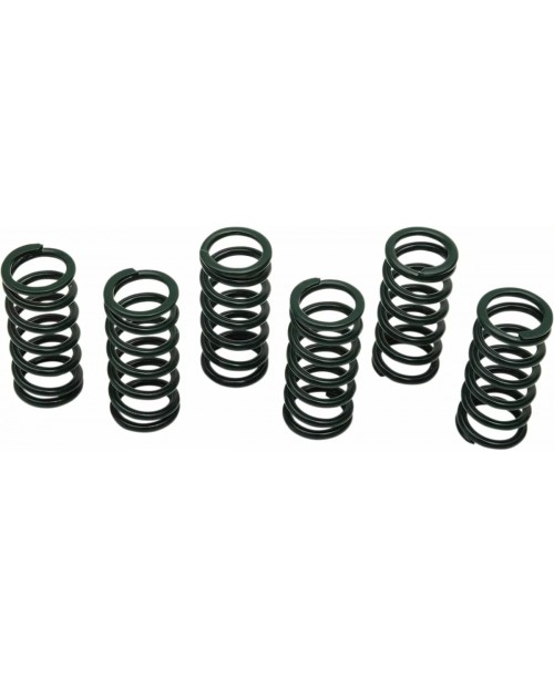 Пружины сцепления SUZUKI, YAMAHA комплект 6 шт MT236