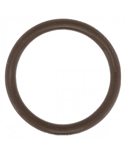 Уплотнительное кольцо натяжителя цепи BRP Can-Am Outlander; Renegade G2 420430373