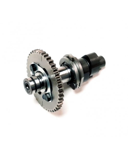 Распредвал в сборн LINHAI 500 PROMAX/M550 35156