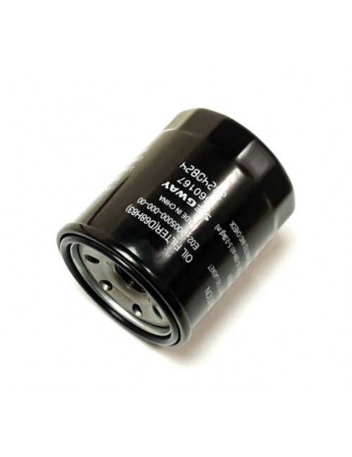 Масляный фильтр SEGWAY Fugleman UT10, Villain SX10 E02-G005000-000-00