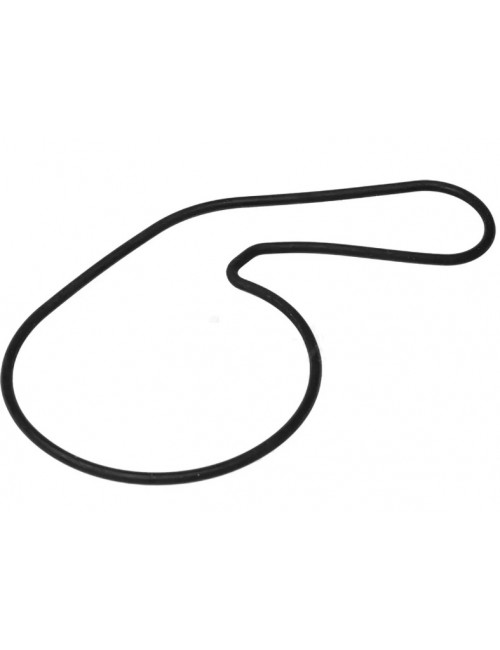 Кольцо уплотнительное SUZUKI BURGMAN AN400A 2016-2023 17418-05H00