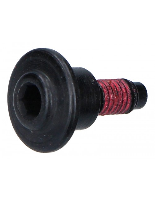 Болт DUCATI 77210841BA