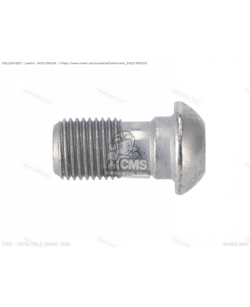 Болт M10x1 BMW R1200GS/S1000RR 34321-599-229