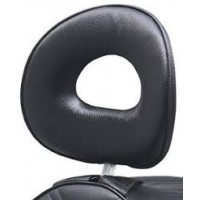 Спинка водительского сидения Corbin BMW GTL