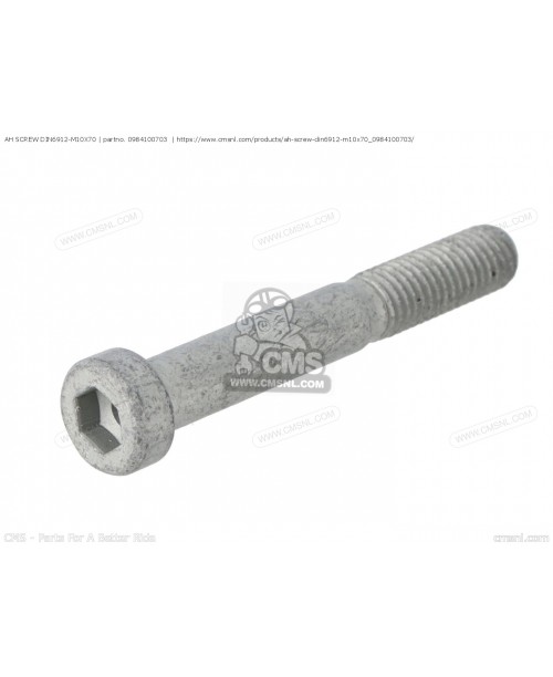 Болт M10X70 KTM 0984100703