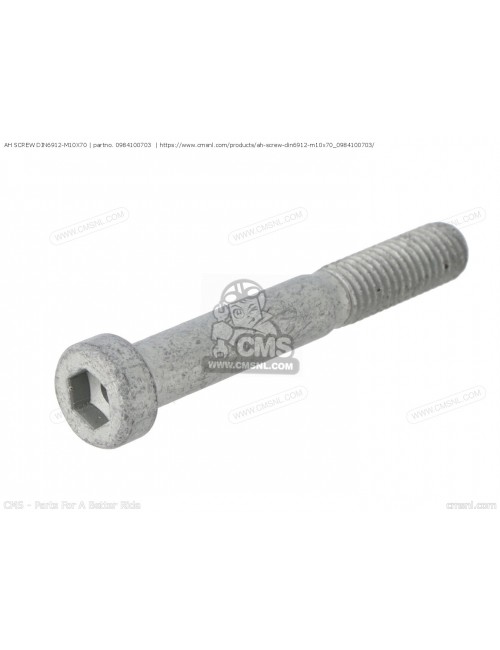Болт M10X70 KTM 0984100703 Болт M10X70 KTM 0984100703