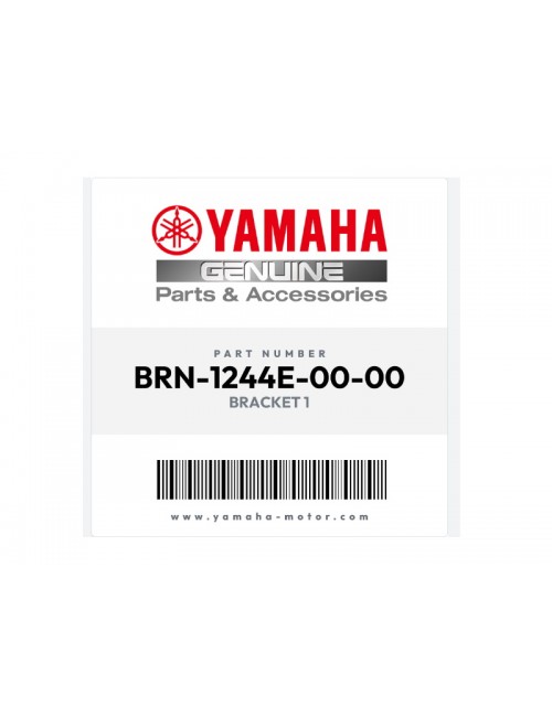 Кронштейн 1 радиатора YAMAHA MT-09 BRN1244E0000 Кронштейн 1 радиатора YAMAHA MT-09 BRN1244E0000