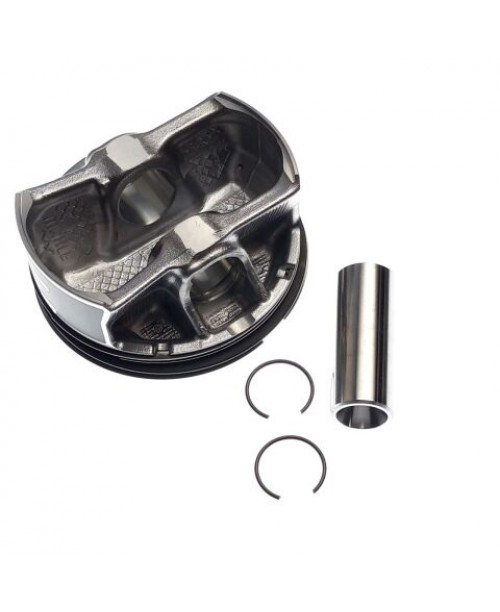 Поршневой комплект SEGWAY Snarler AT6 L / Fugleman UT6