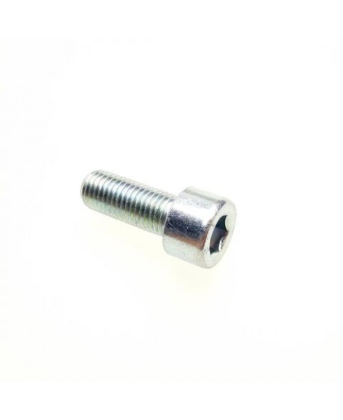 Болт 10x1.25x25 Segway Snarler AT6 / AT5 / AT10L / Fugleman UT6