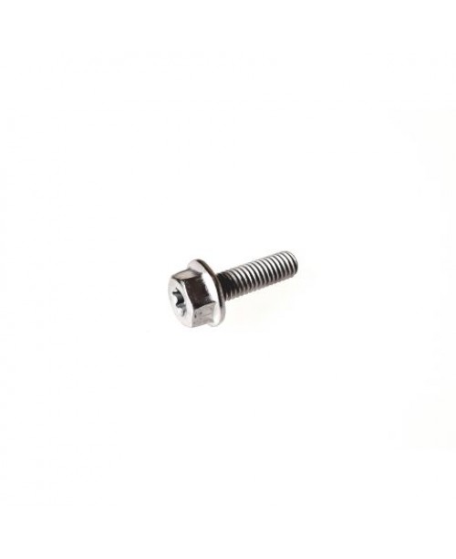 Болт M6×20 SEGWAY AT10 /  Fugleman UT10 / AT5