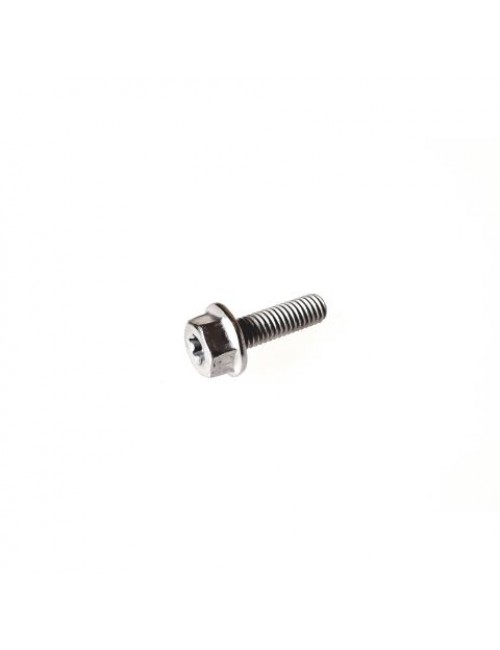 Болт M6×20 SEGWAY AT10 /  Fugleman UT10 / AT5