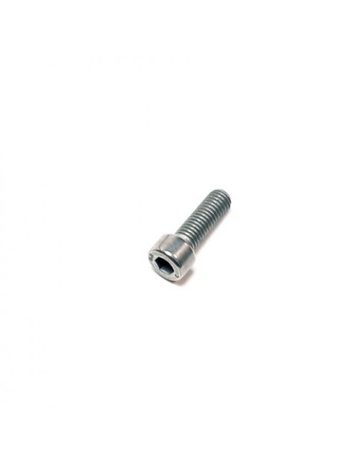 Болт M8X25 SEGWAY Snarler AT6 / AT5 / Fugleman UT10